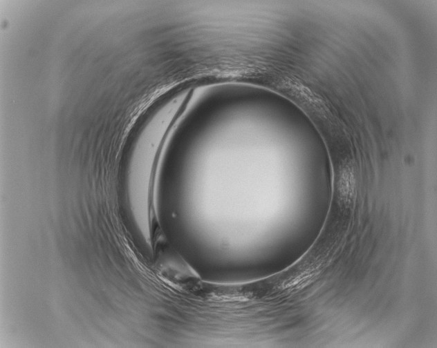 X0000059080540200510281726