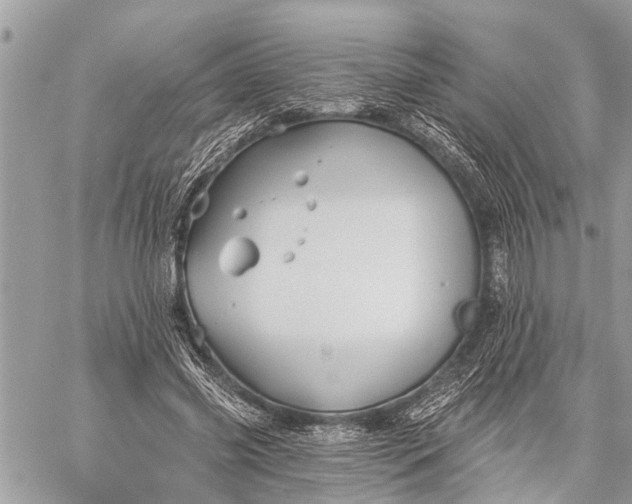 X0000059080541200510281726