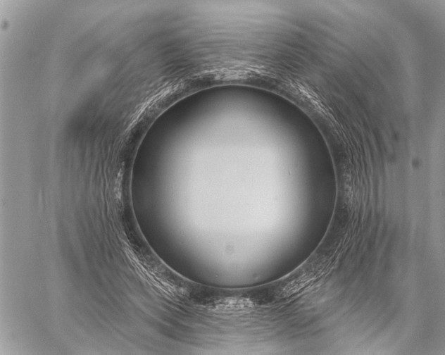 X0000059080543200510281726