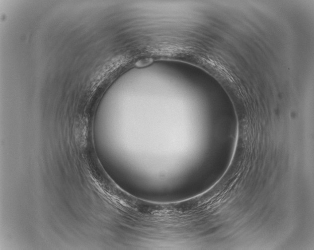 X0000059080544200510281726