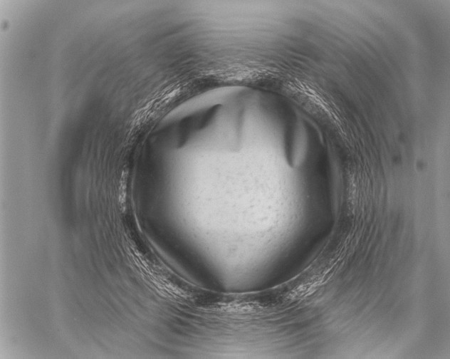 X0000059080545200510281726