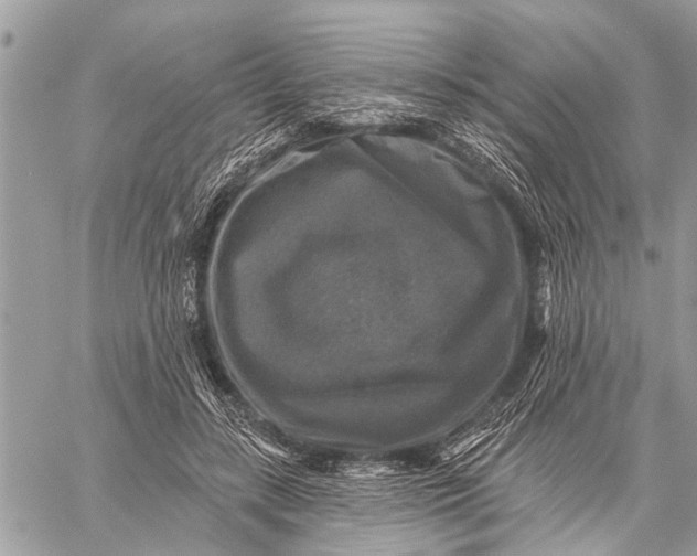 X0000059080547200510281726