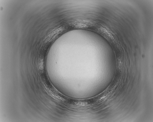 X0000059080549200510281726