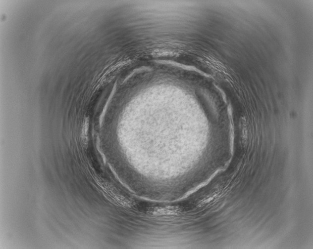 X0000059080550200510281726