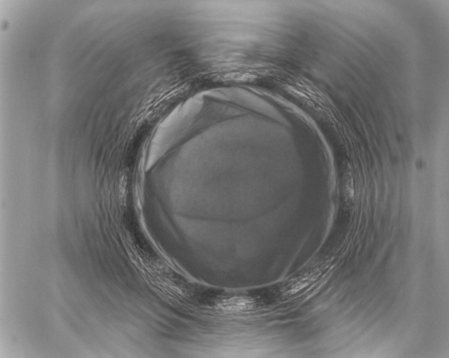 X0000059080551200510281726