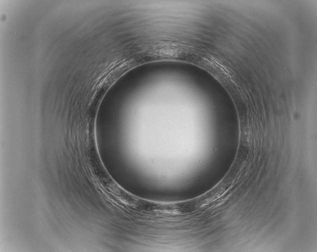 X0000059080552200510281726