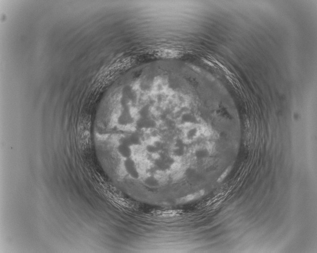 X0000059080553200510281726