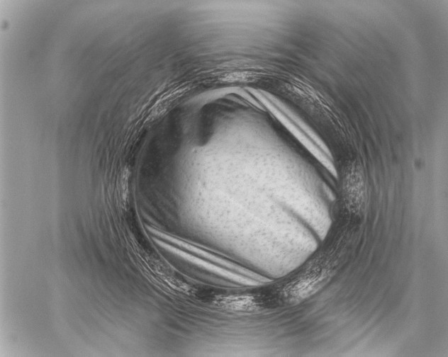 X0000059080554200510281726