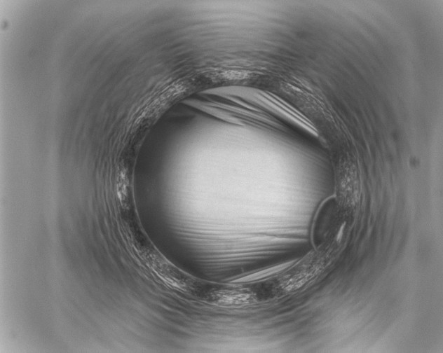 X0000059080555200510281726