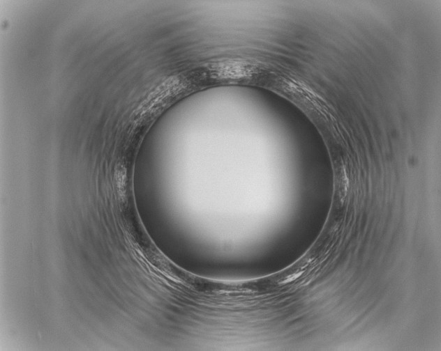 X0000059080556200510281726