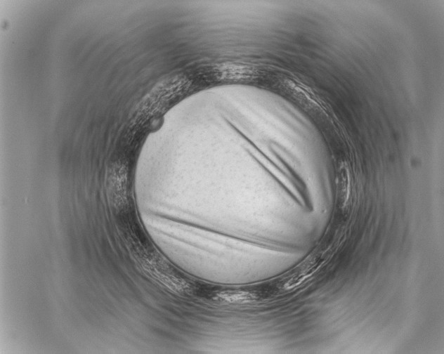 X0000059080557200510281726