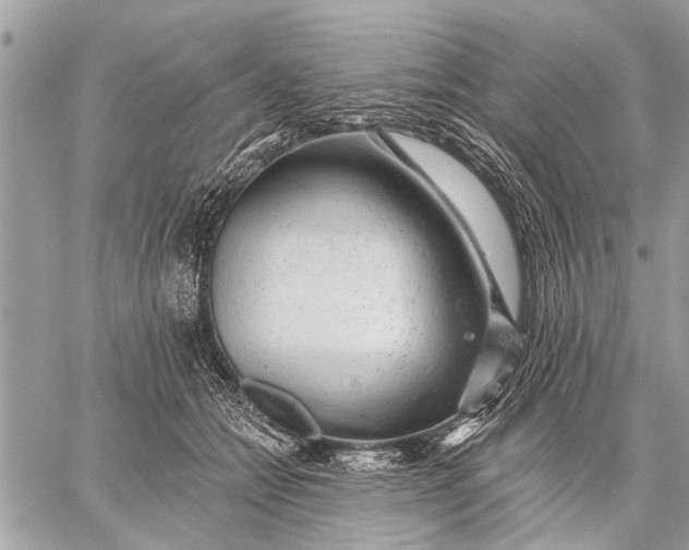 X0000059080558200510281726