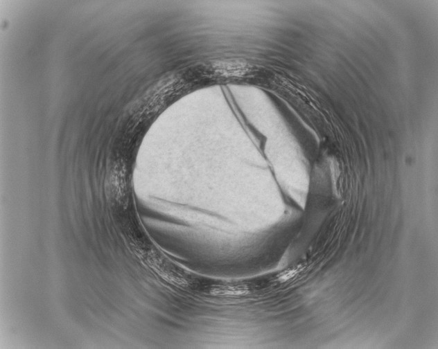 X0000059080559200510281726