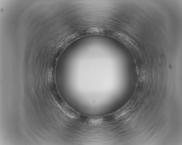 X0000059080560200510281726