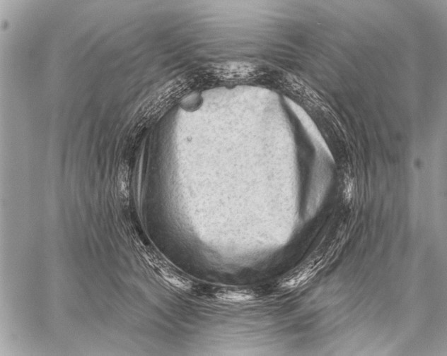 X0000059080561200510281726