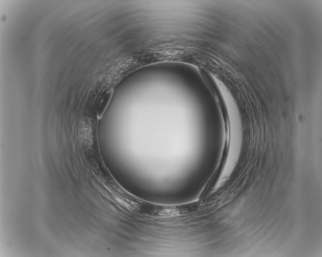 X0000059080562200510281726