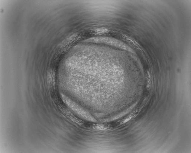 X0000059080565200510281726