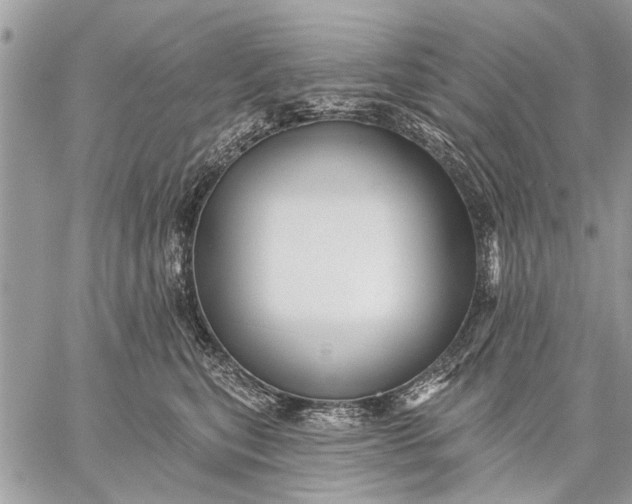 X0000059080567200510281726