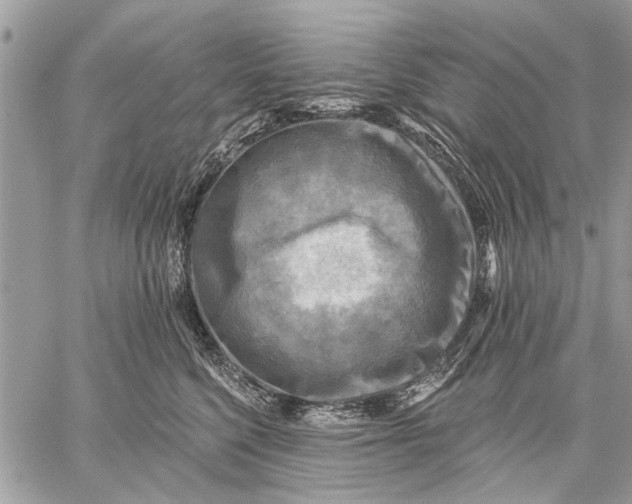 X0000059080568200510281726