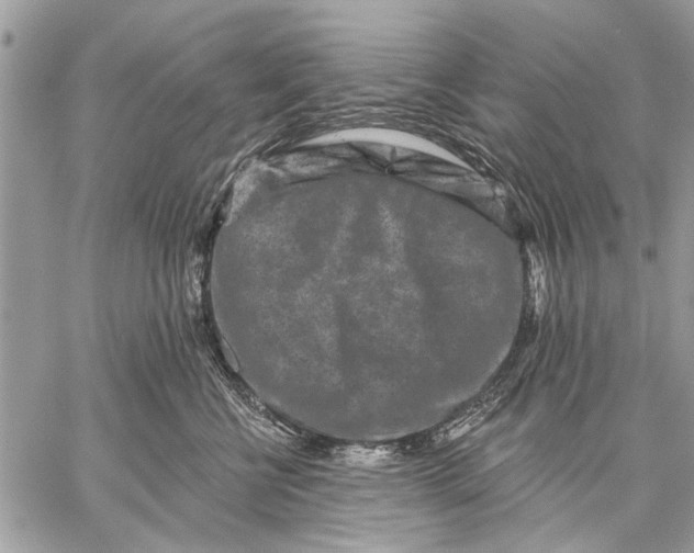 X0000059080570200510281726