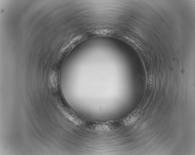 X0000059080572200510281726