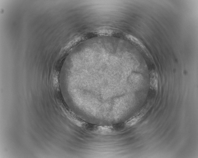 X0000059080573200510281726