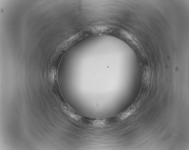 X0000059080574200510281726