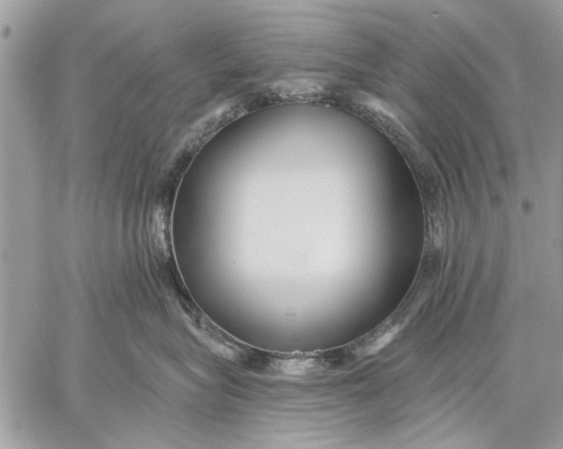 X0000059080575200510281726