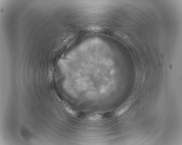 X0000059080576200510281726