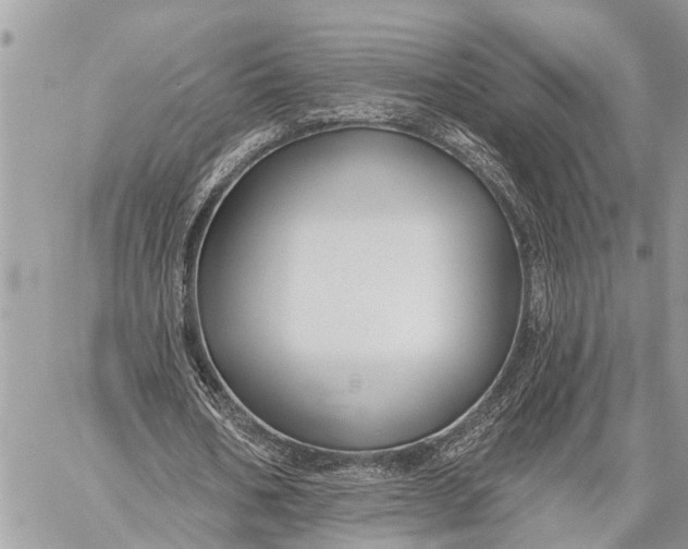 X0000059080578200510281726