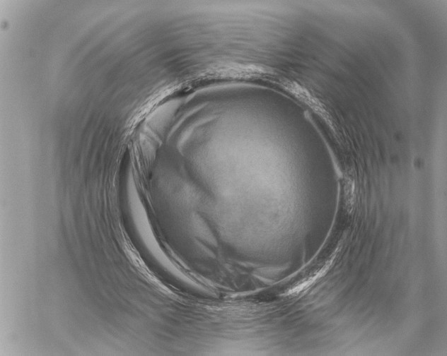 X0000059080581200510281726