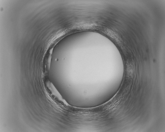 X0000059080582200510281726