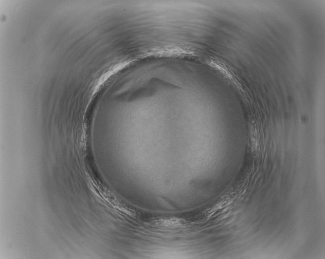 X0000059080583200510281726