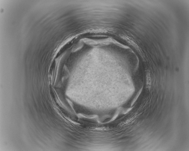 X0000059080584200510281726