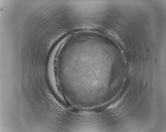 X0000059080585200510281726