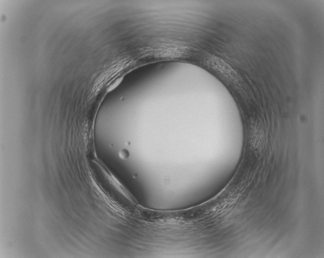 X0000059080586200510281726