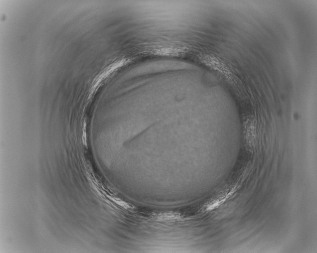 X0000059080587200510281726