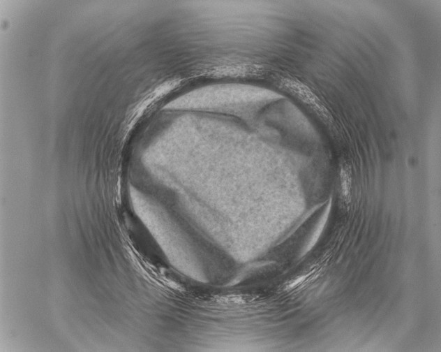 X0000059080588200510281725