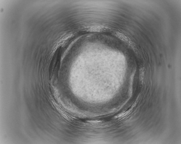 X0000059080589200510281725