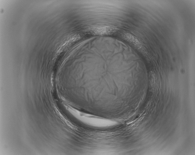 X0000059080590200510281725