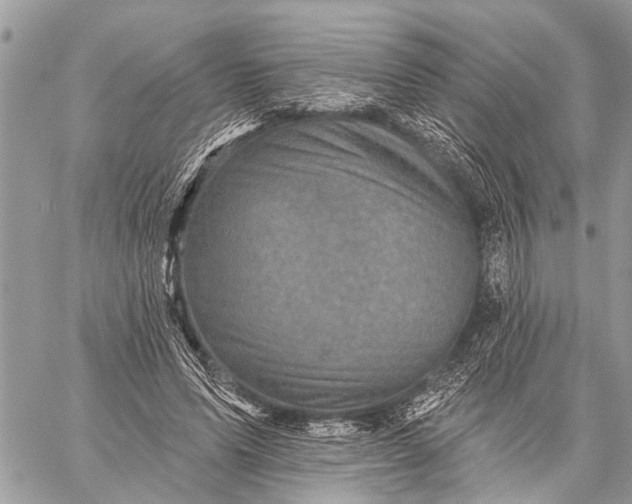 X0000059080591200510281725