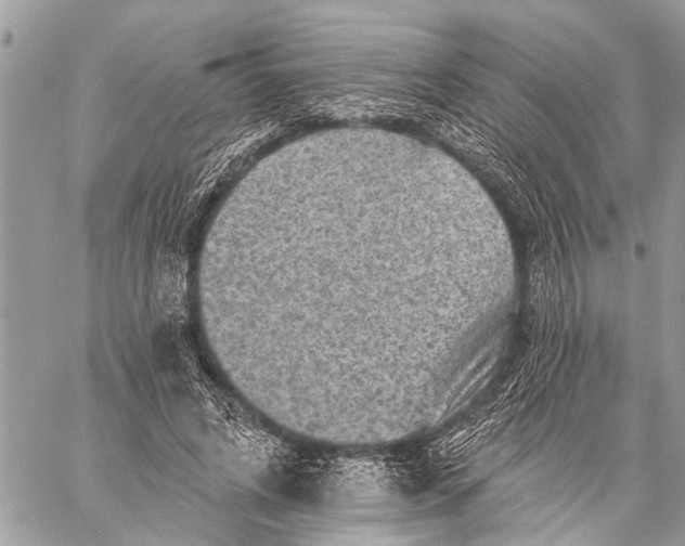 X0000059080592200510281725