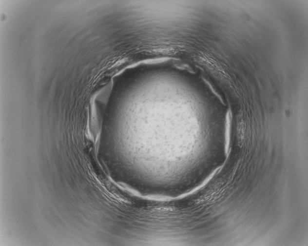 X0000059080593200510281725