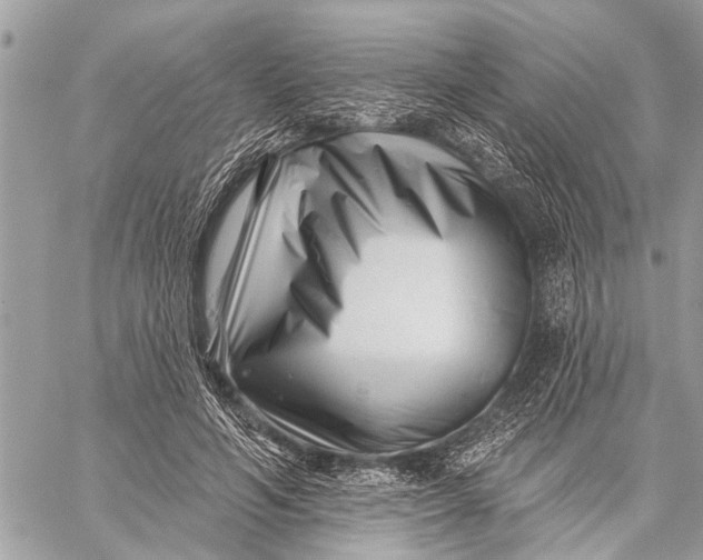 X0000059080594200510281725