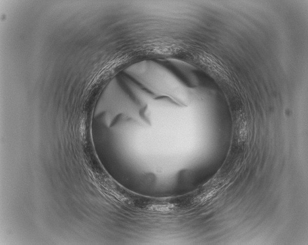 X0000059080595200510281725