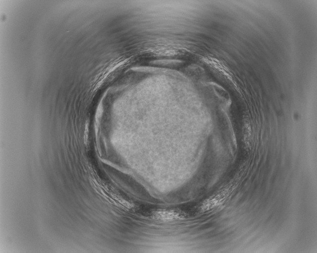 X0000059080596200510281725