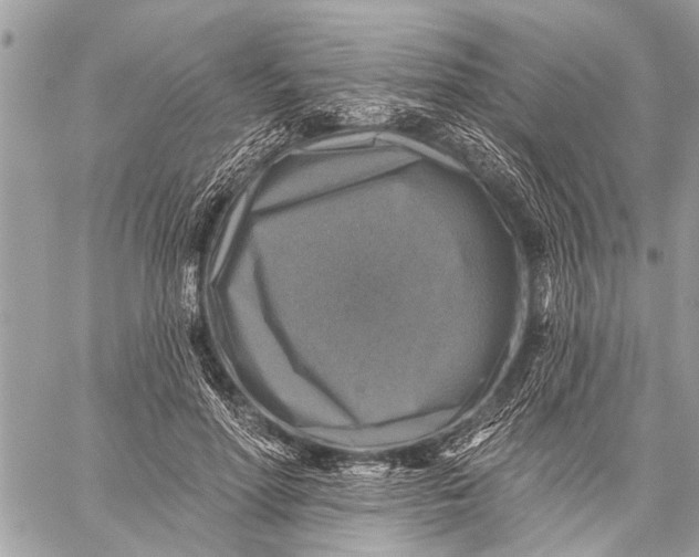 X0000059080598200510281725