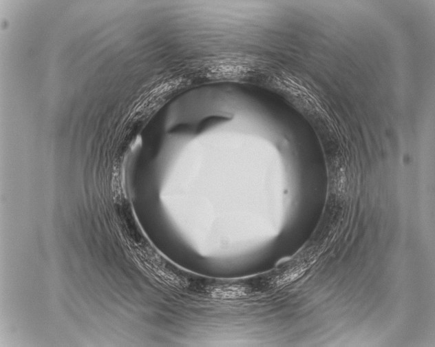 X0000059080599200510281725