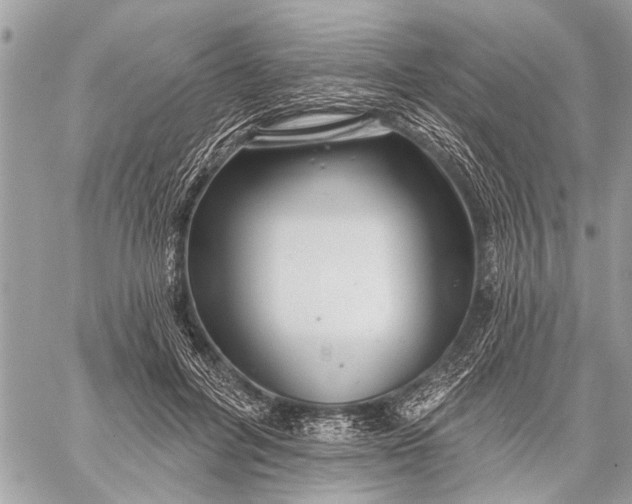 X0000059080600200510281725