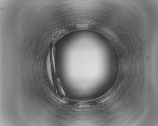 X0000059080601200510281725